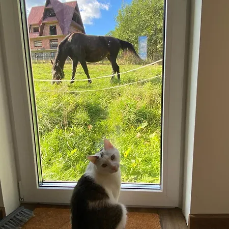 Prociówka Casa de Férias *