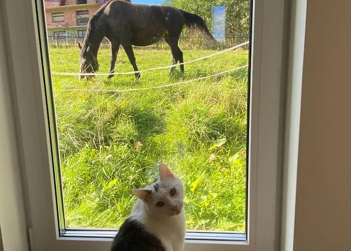 Prociowka Casa vacanze *