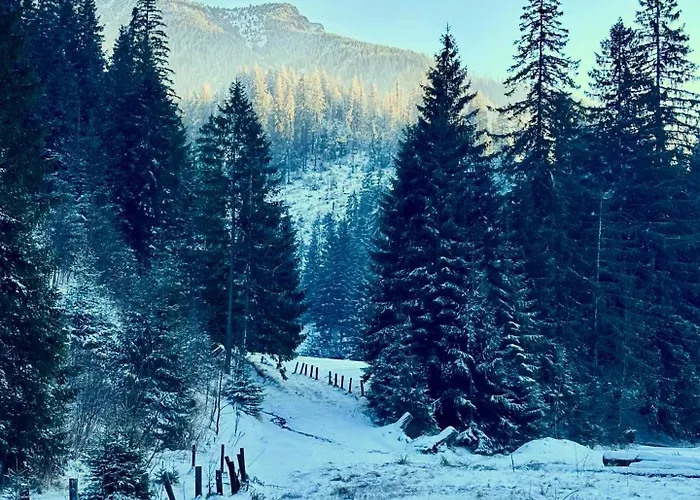 Casa vacanze Prociowka